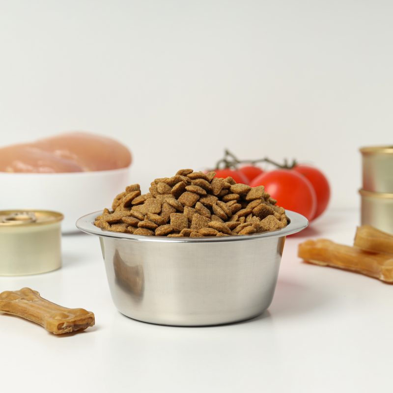 Tasty and delicious food for pet, pet accessories